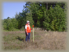 Meisner Brem field work